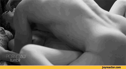 nsfw-erotic-porn-2669133.gif